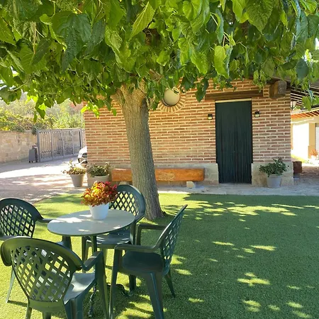 Olivos * Alcaniz