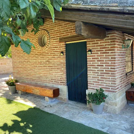 Olivos Alcaniz